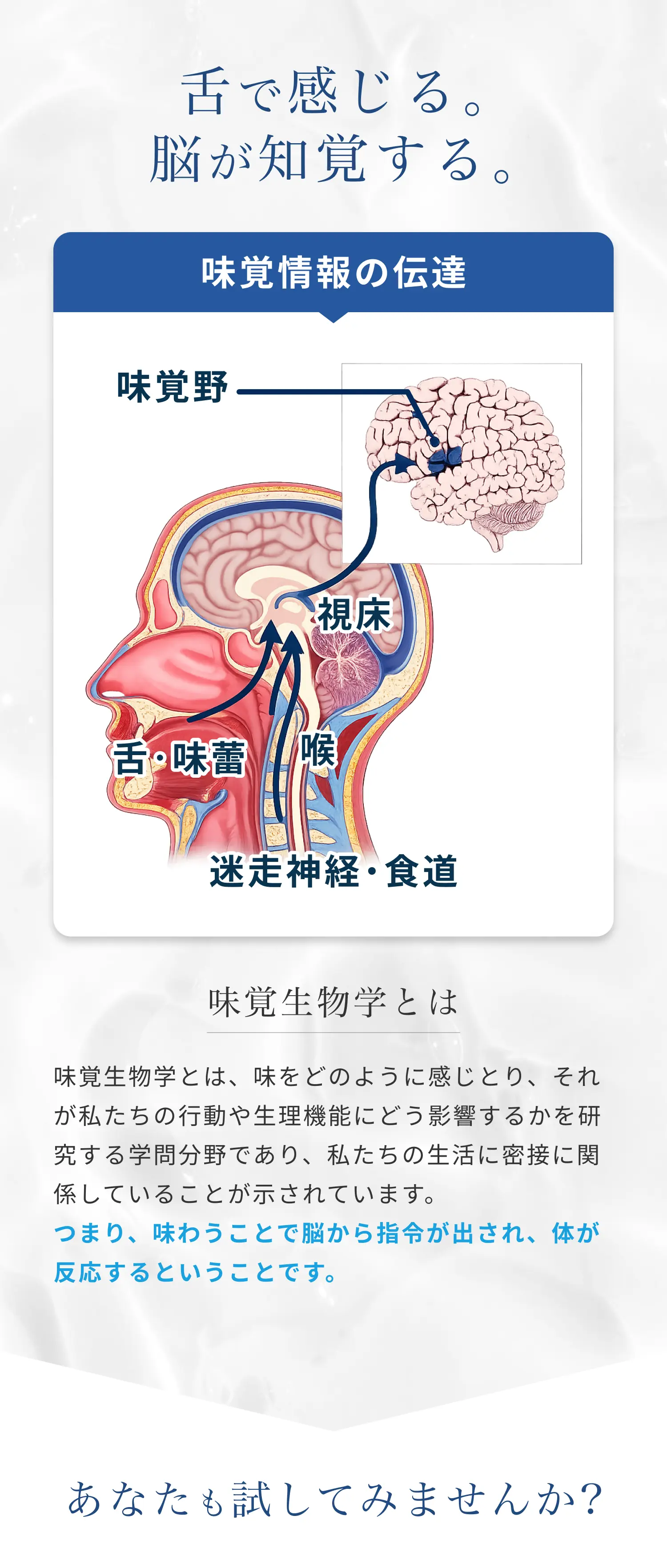 舌で感じる。脳が知覚する。